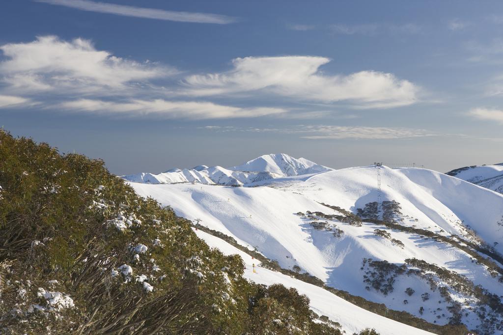 White Crystal Apartments Mount Hotham Oda fotoğraf